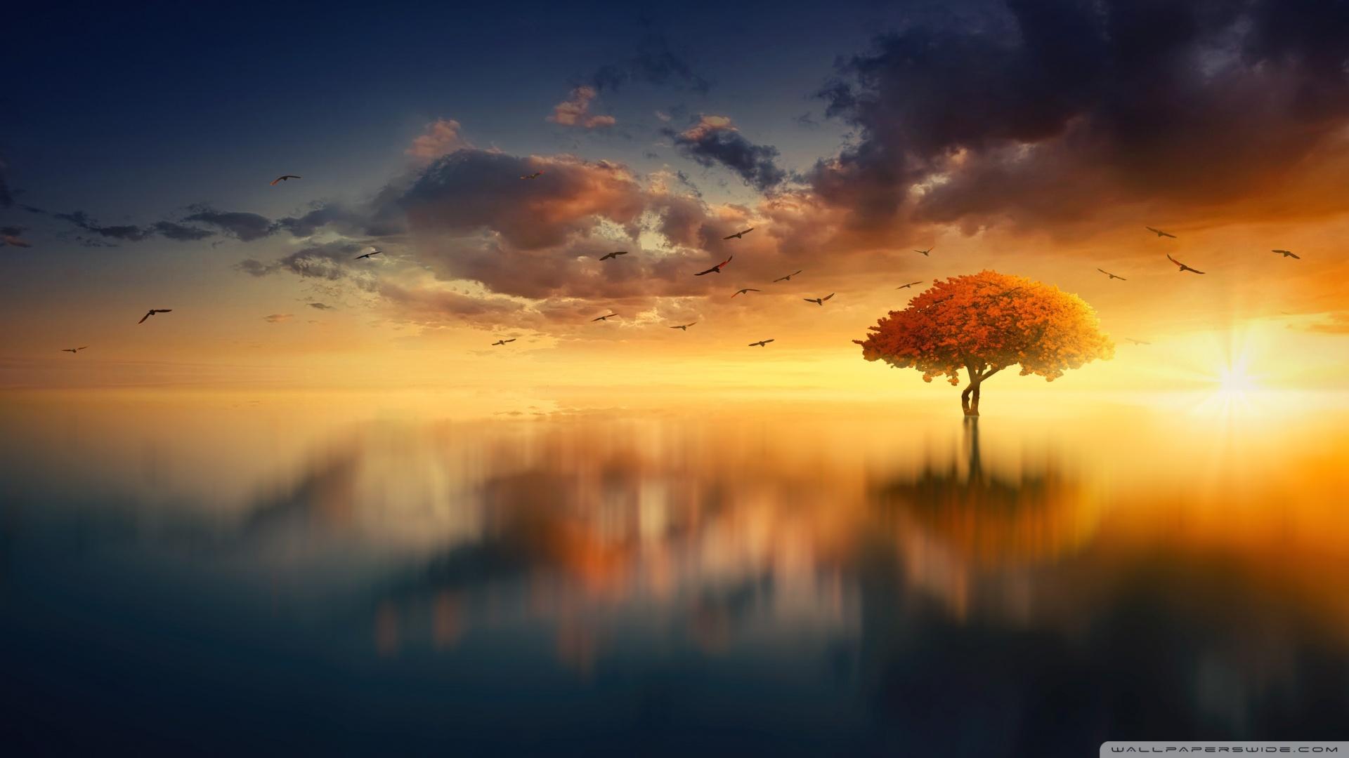 Over 40,000+ cool wallpapers to choose from. Aesthetic 1080 Wallpapers - Wallpaper Cave