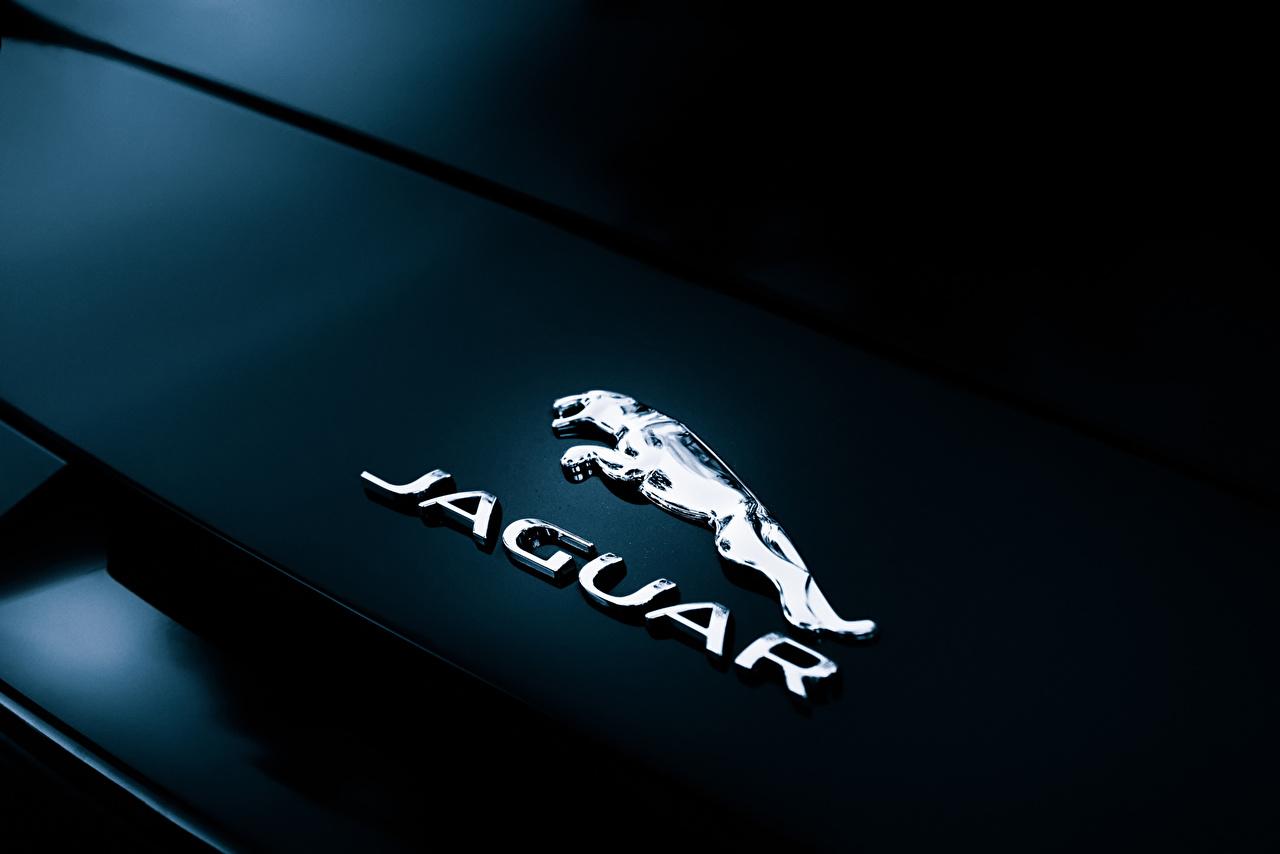 2560x1440 batman logo wallpaper hd. Get Jaguar Logo Wallpaper For Mobile Background Picture Idokeren