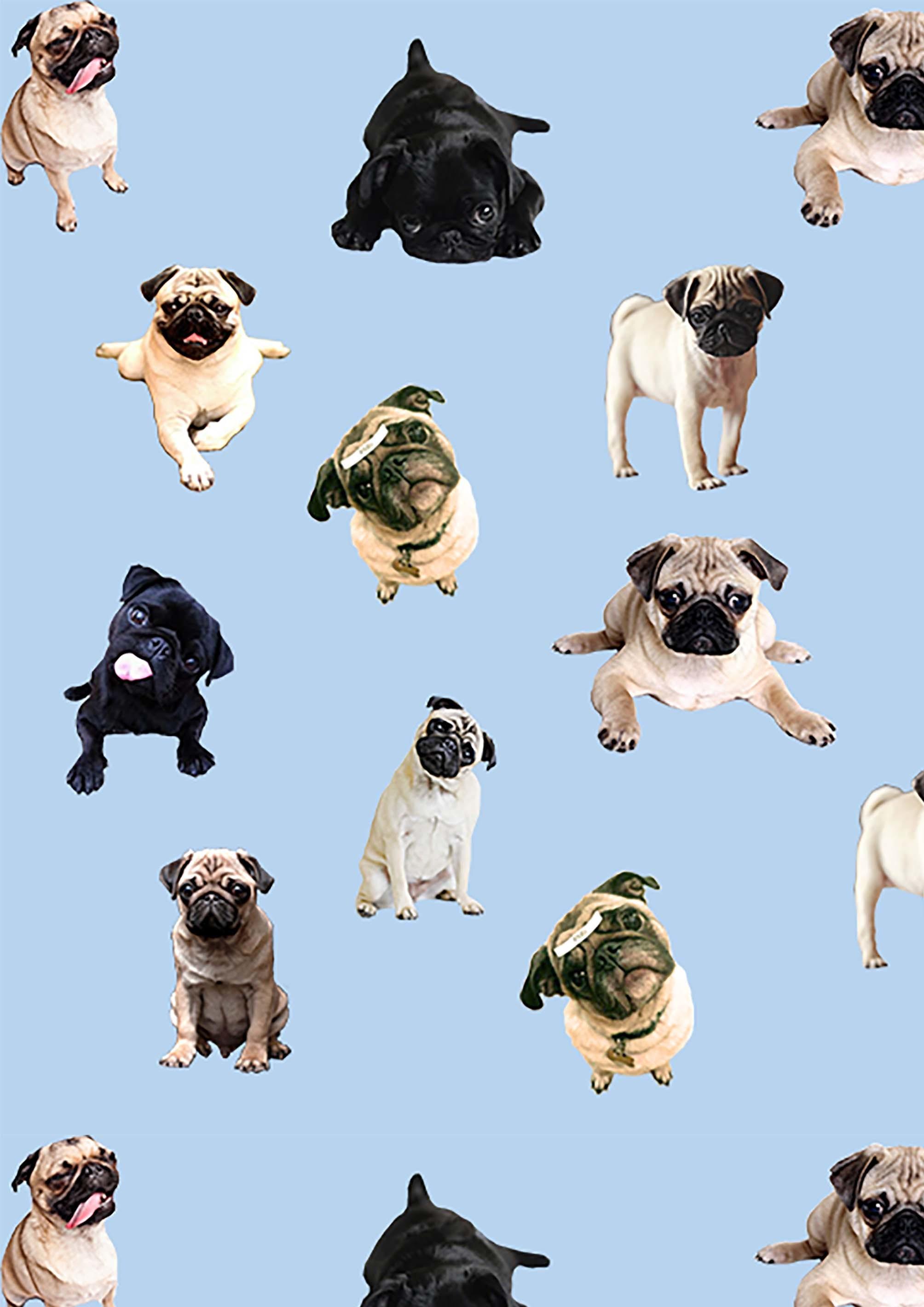 Shop thousands of high quality drink coasters designed and sold by artists. Cute Pug Iphone Wallpapers Wallpaper Cave
