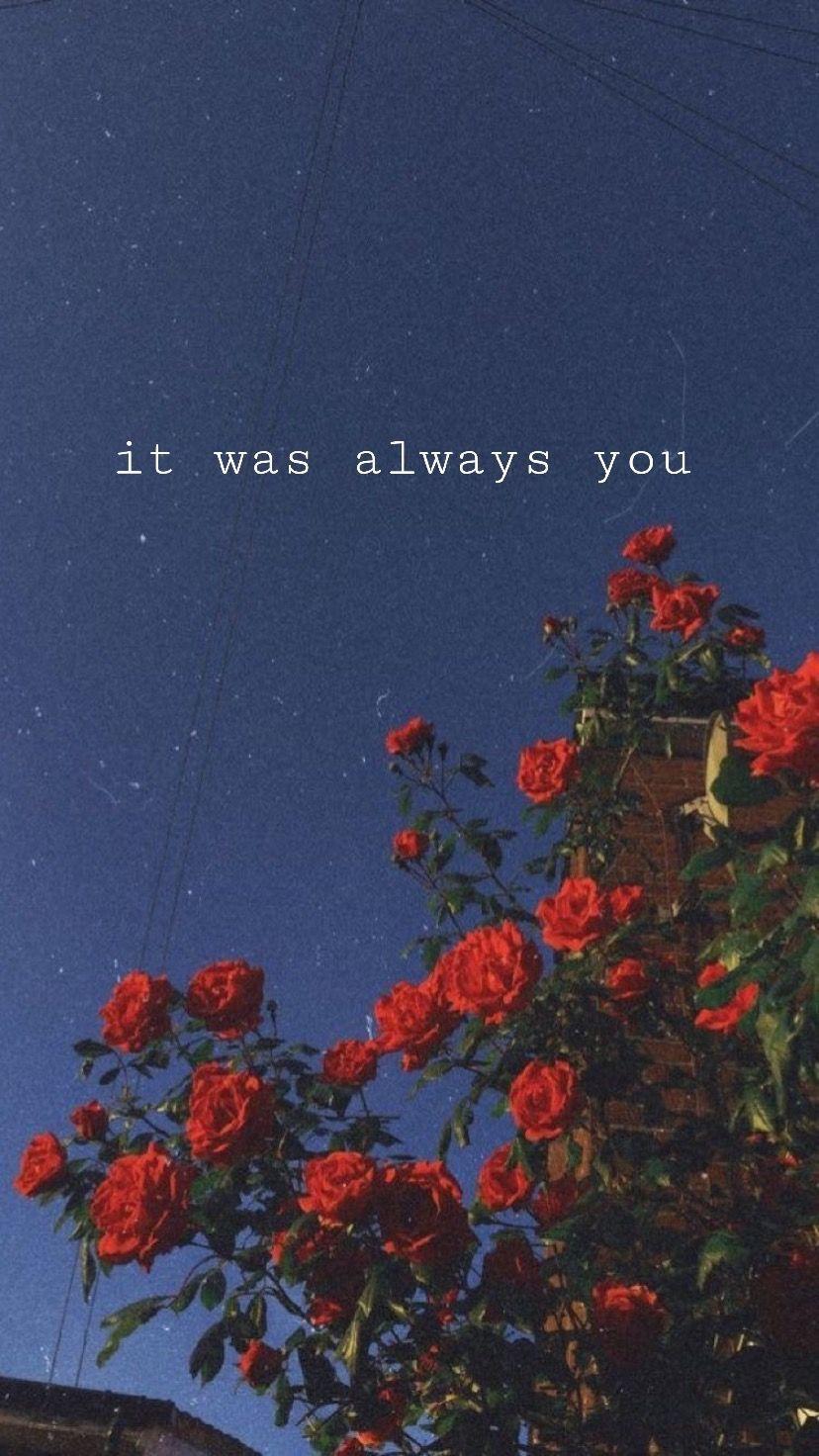 We have rounded up the best collection of aesthetic love quotes, sayings, proverbs, captions, (with images and pictures) to appreciate the . Aesthetic Love Wallpapers Wallpaper Cave