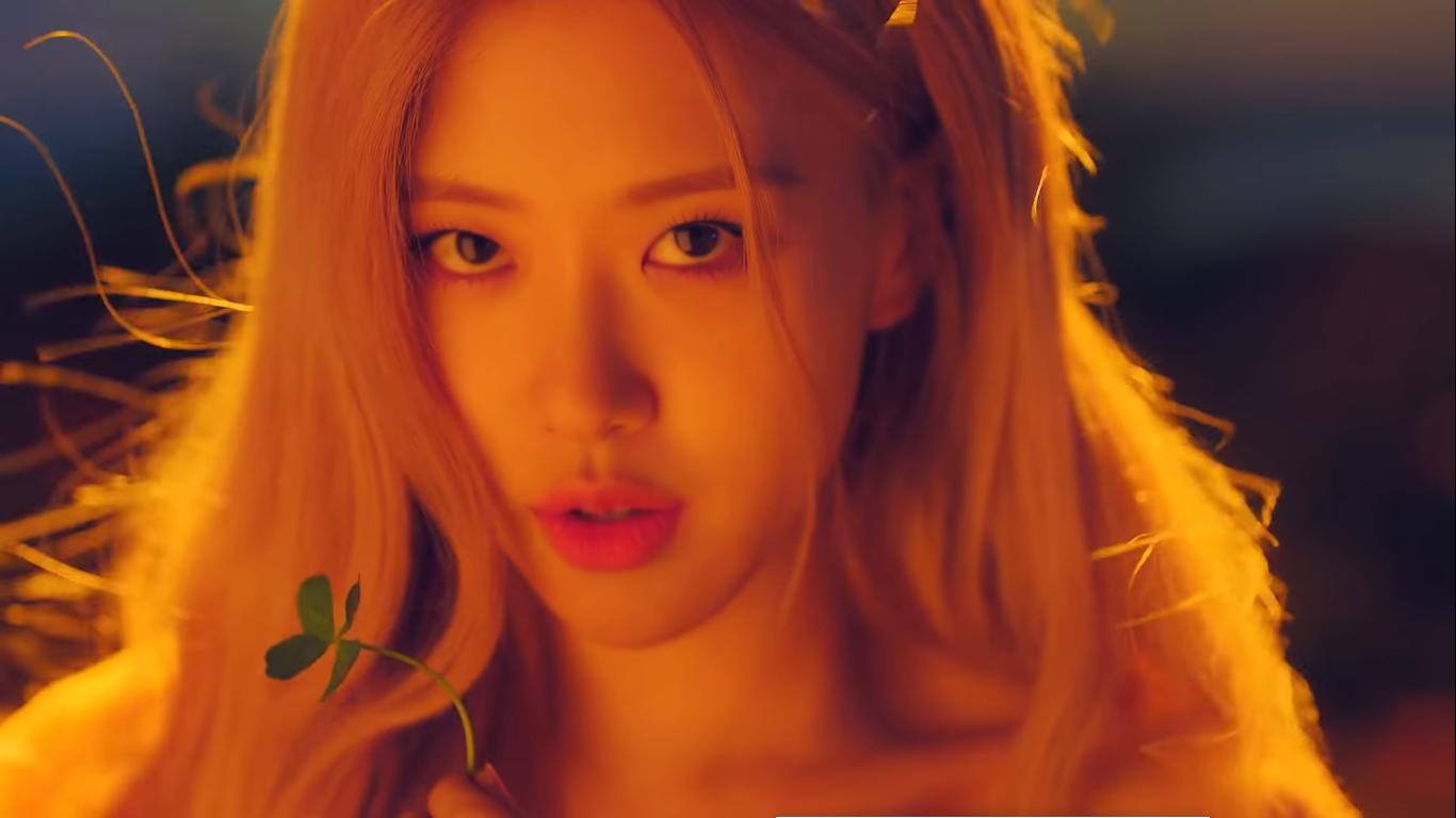 Photo courtesy of bailey nurseries, inc. Blackpink Kill This Love Rose Wallpapers - Wallpaper Cave