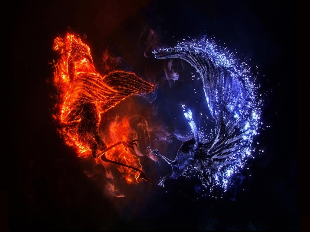 Cool Ice Cool Fire Dragon Wallpaper Novocom Top