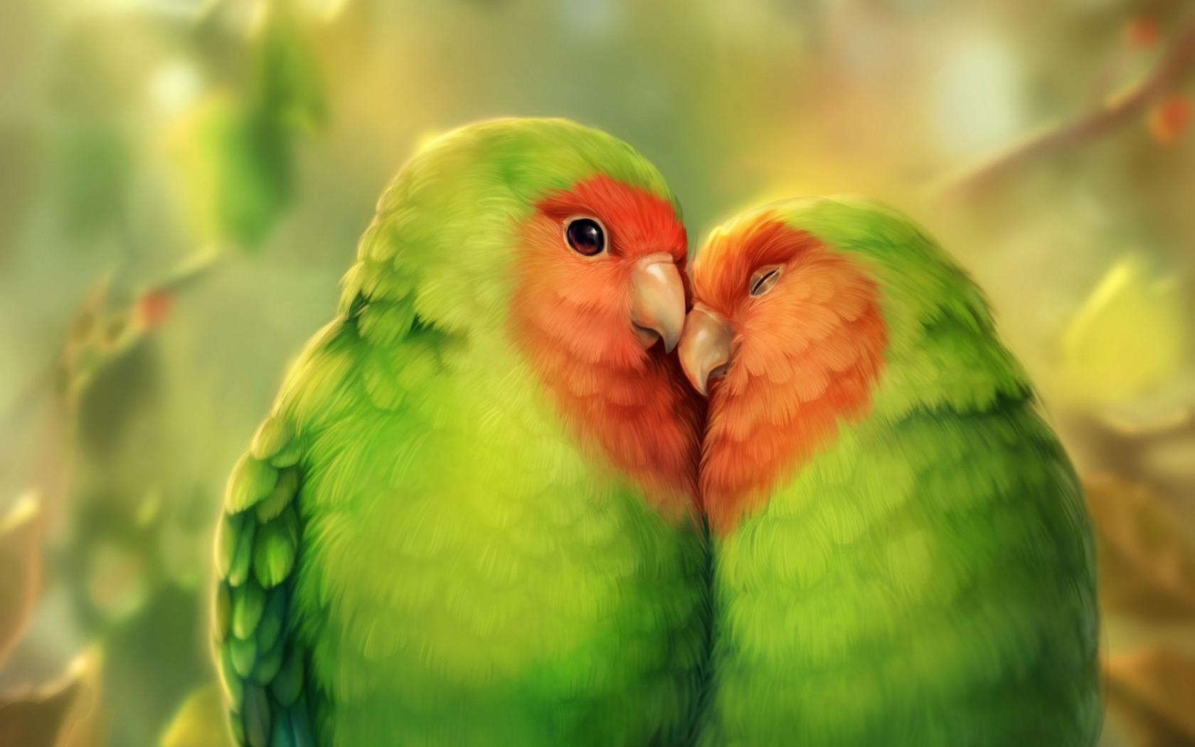 Printed on demand to fit perfect on your wall. Cute Parrot Wallpapers Wallpaper Cave