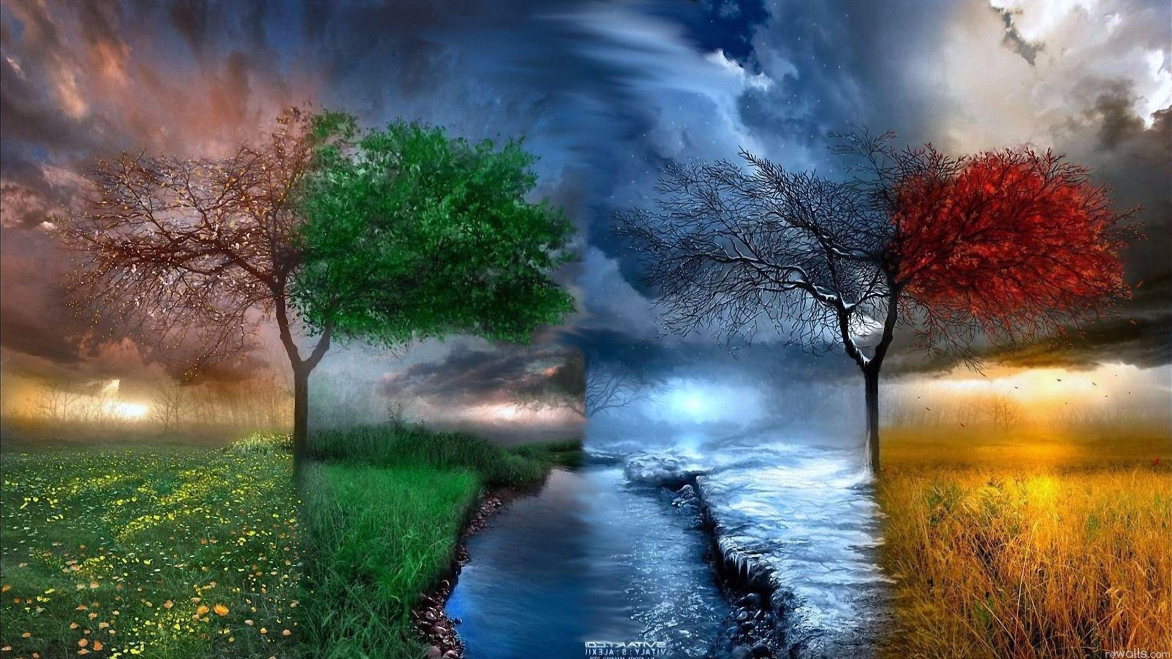 Should streaming services treat different video resolutions like different products? 4k Laptop Wallpapers Wallpaper Cave