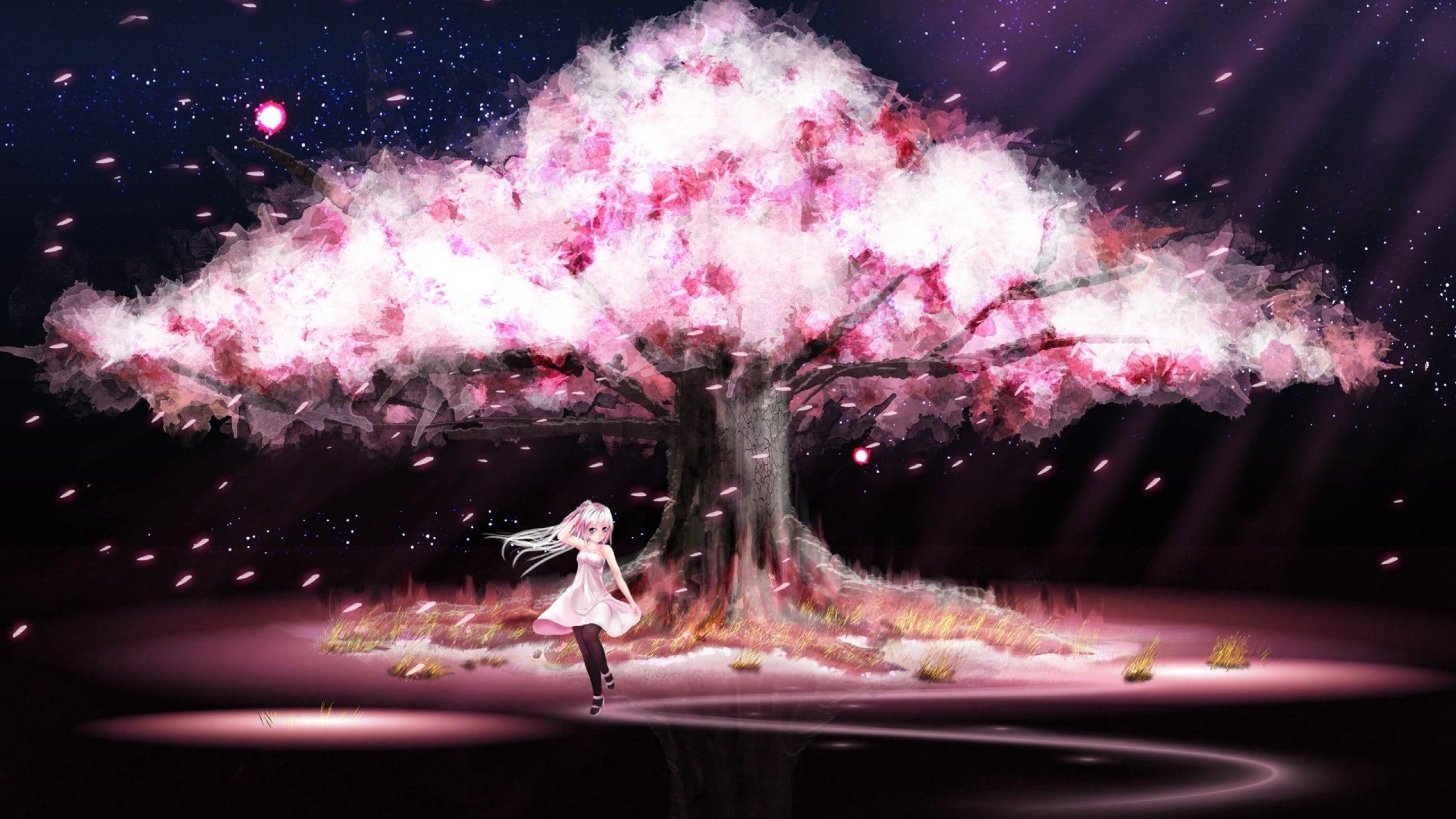 We've gathered more than 5 million images uploaded by our users and . Sakura Blossoms Anime Wallpapers Wallpaper Cave