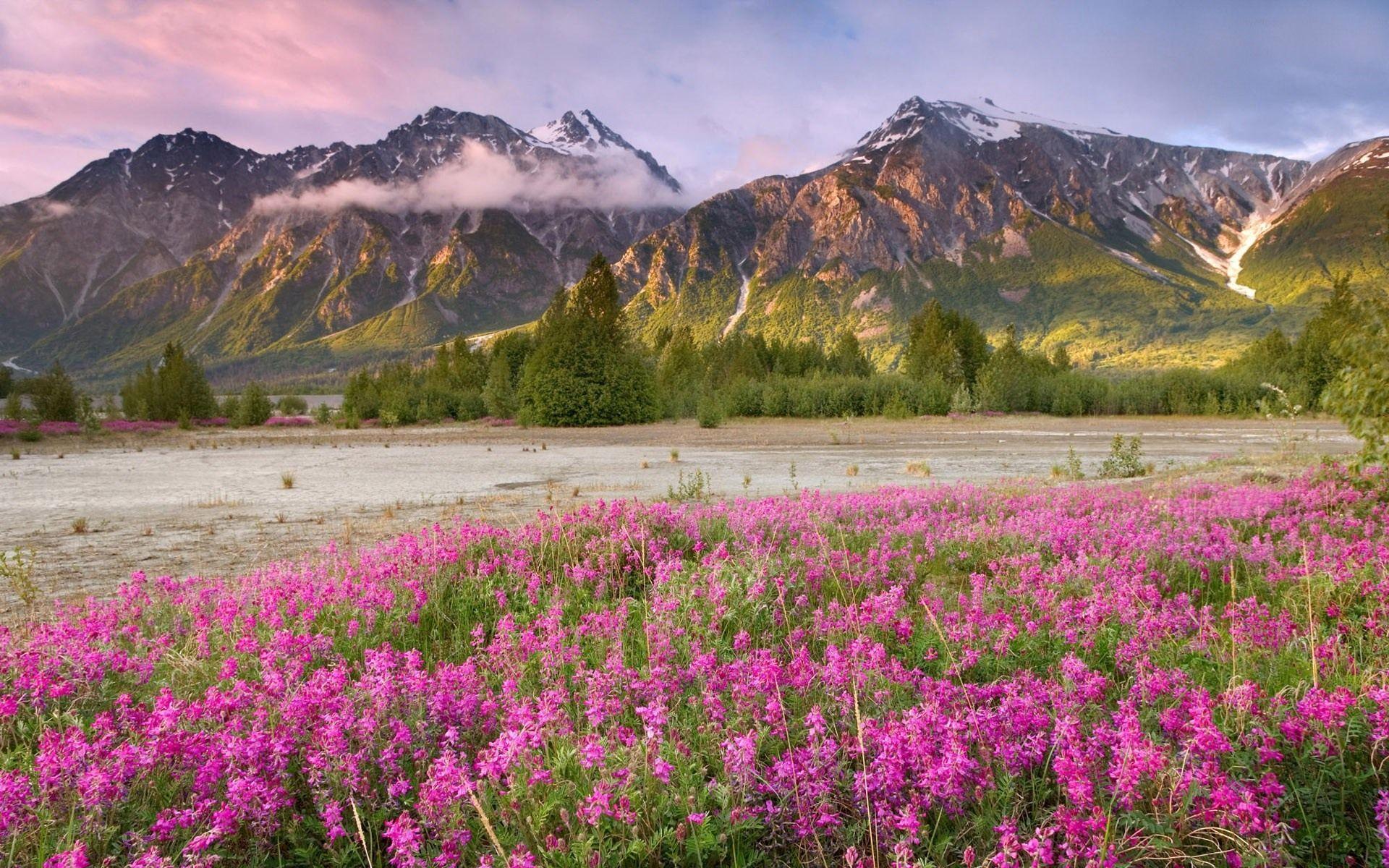 When you purchase through links on our site, we may earn. Spring Mountain Wallpapers Wallpaper Cave