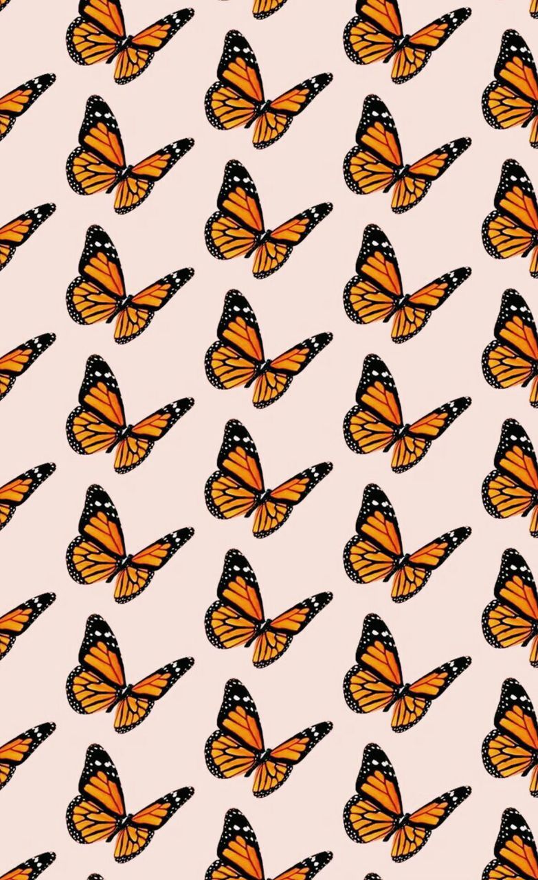 07.03.2017 · butterfly symbolism resonates with us, one way or the other. Butterfly Tumblr Wallpapers Wallpaper Cave