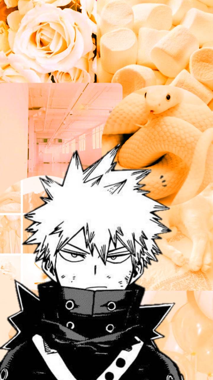 Bakugou Aesthetic Wallpaper For Chromebook Novocom Top