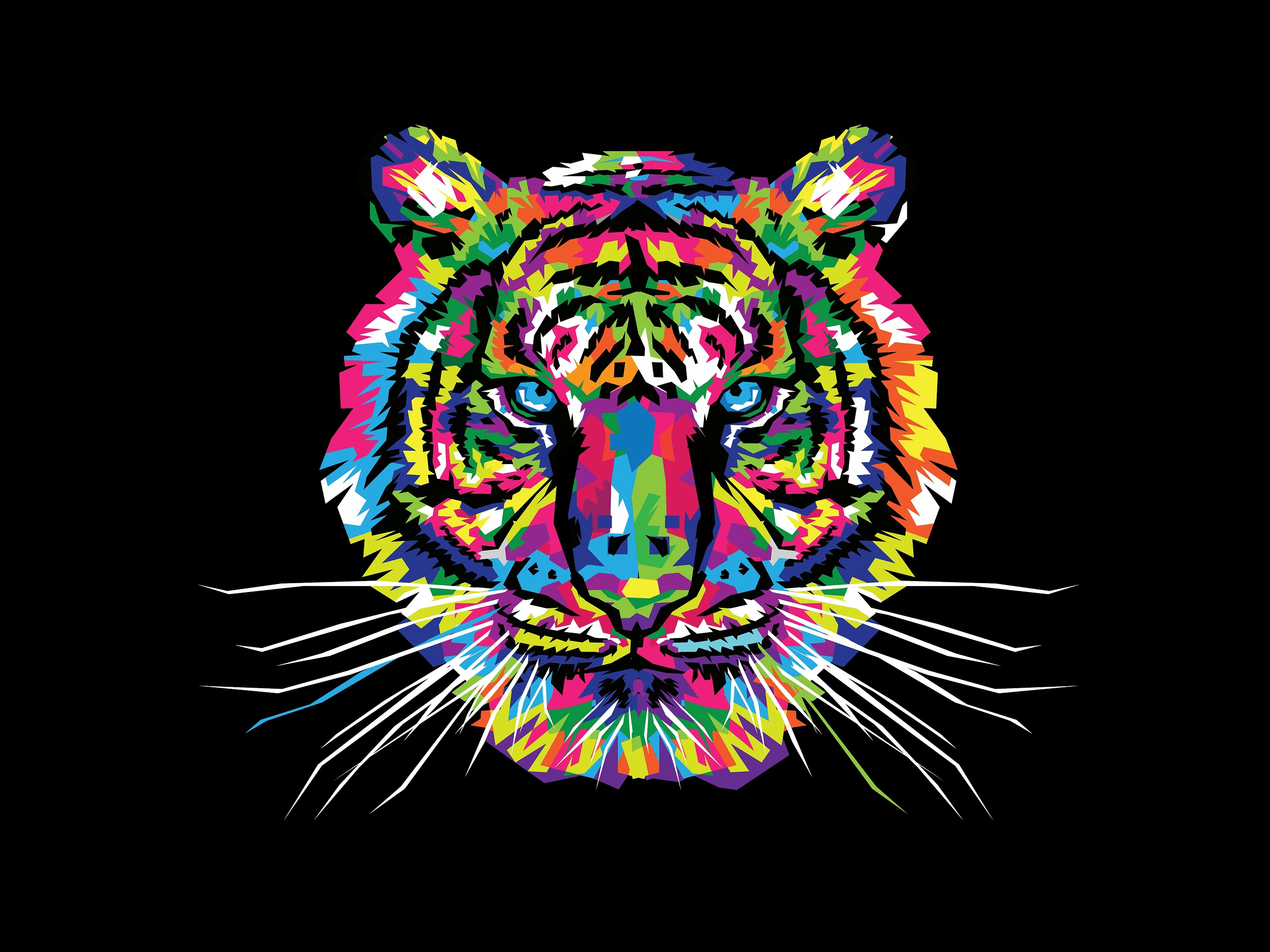 Many consider tiger to be the best "classic" Coloured Tiger Wallpapers Wallpaper Cave