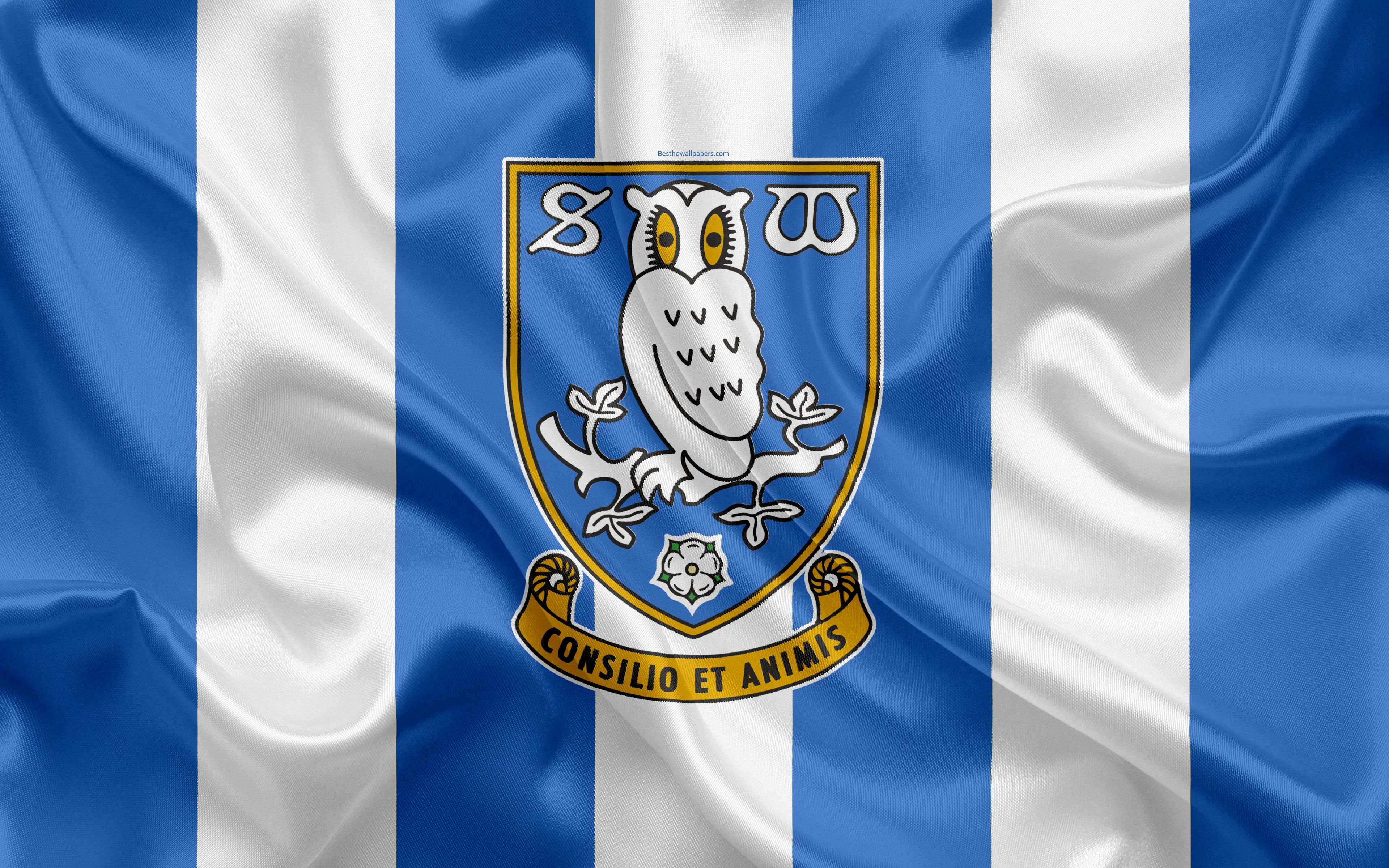 Latest sheffield wednesday news, fixtures and injury updates; Sheffield Wednesday Wallpapers - Wallpaper Cave