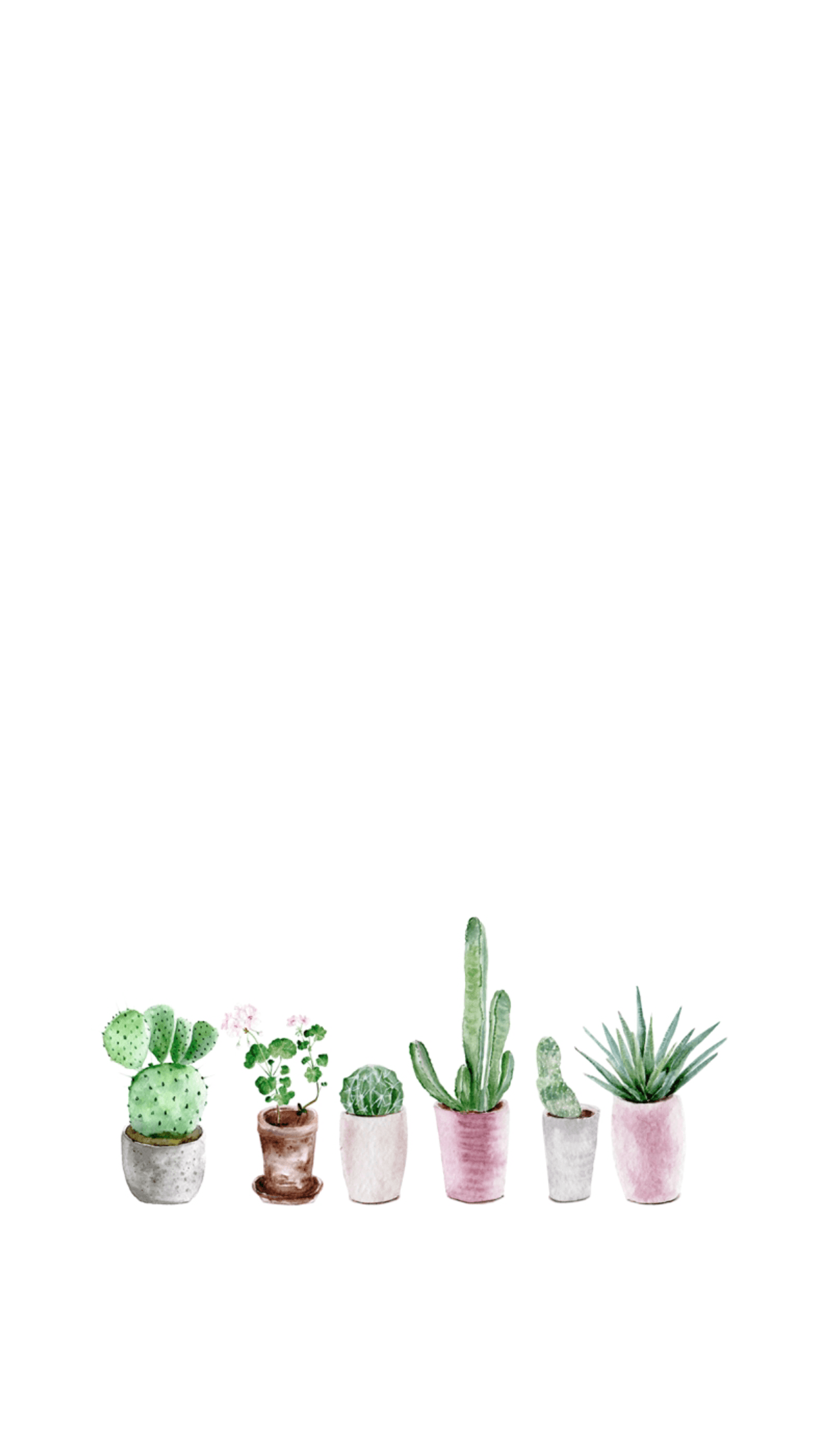 Summer succulent flower fabric print. Cute Aesthetic Cactus Wallpapers Wallpaper Cave