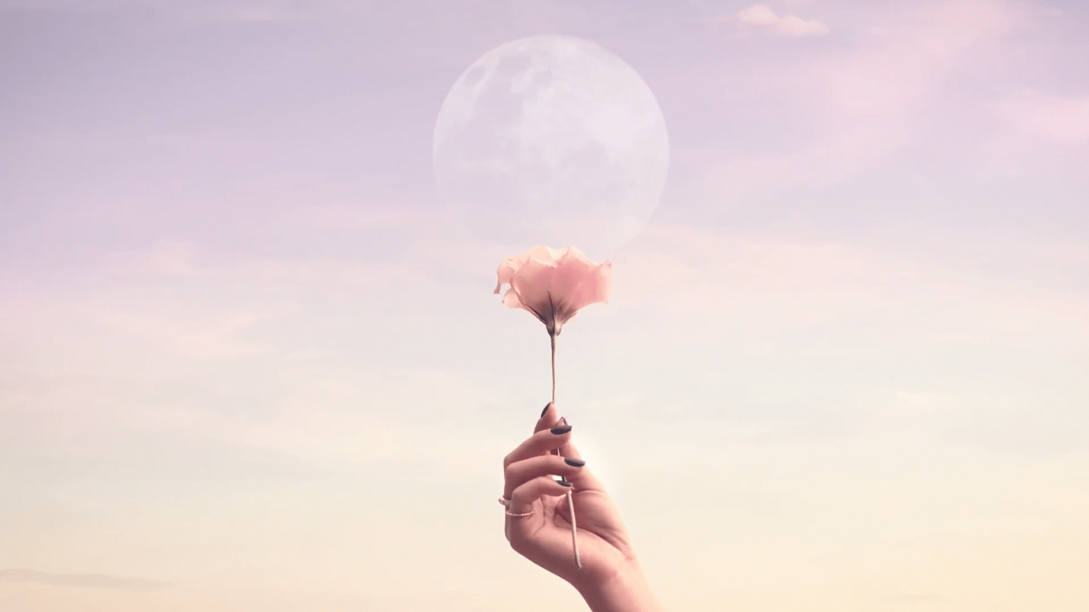 But done right, it can be one of the most effective ways to grow both your business & your influence. Aesthetic Girl Laptop Wallpapers Wallpaper Cave