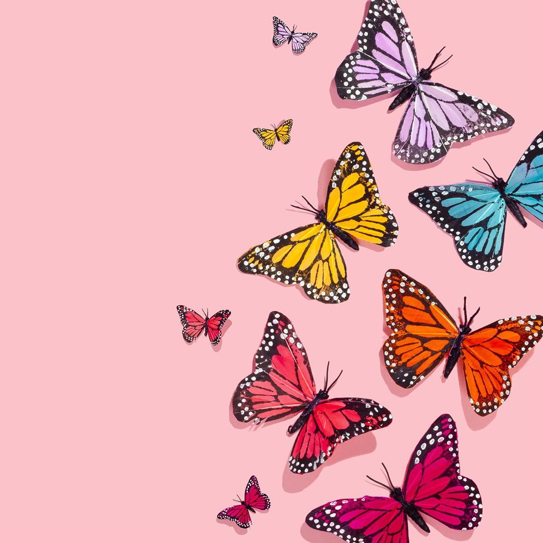 In bowl with green and pink butterfly cut off and isolated royalty free. Cute Aesthetic Pink Butterfly Wallpapers Wallpaper Cave