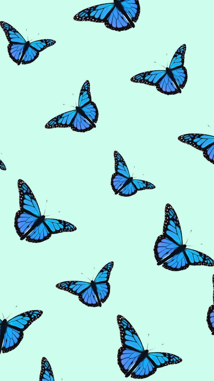 You can also upload and share your. Aesthetic Blue Butterfly Wallpapers Wallpaper Cave