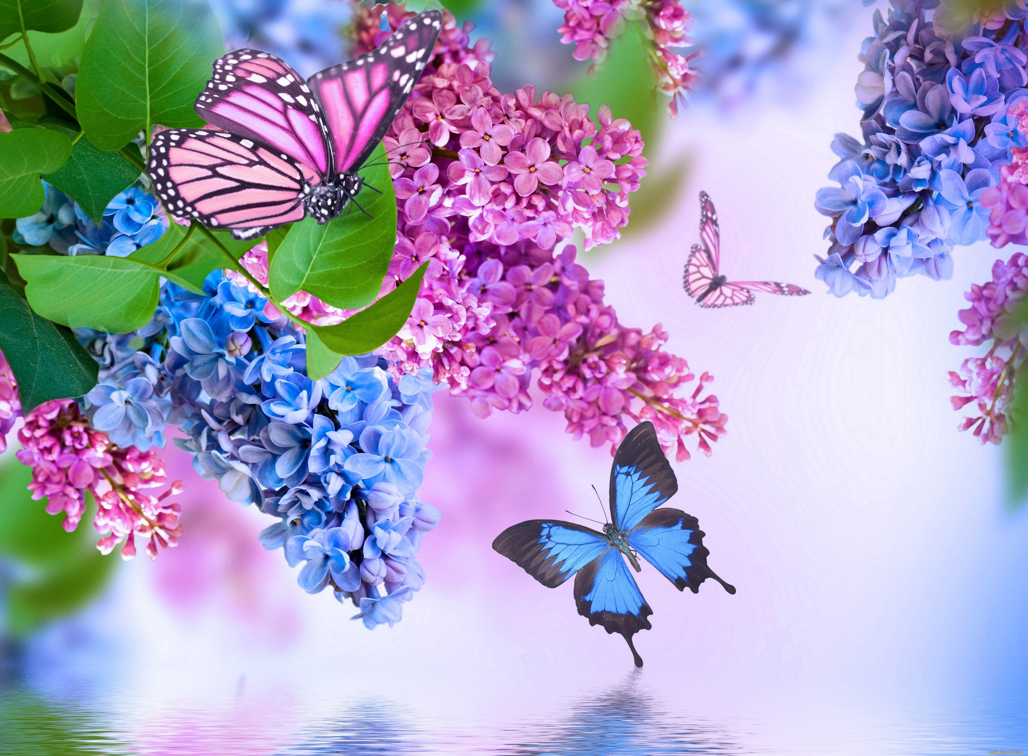 Botanical print wallpaper brings a bit of the great outdoors home. Flowers And Butterflies Wallpapers Wallpaper Cave