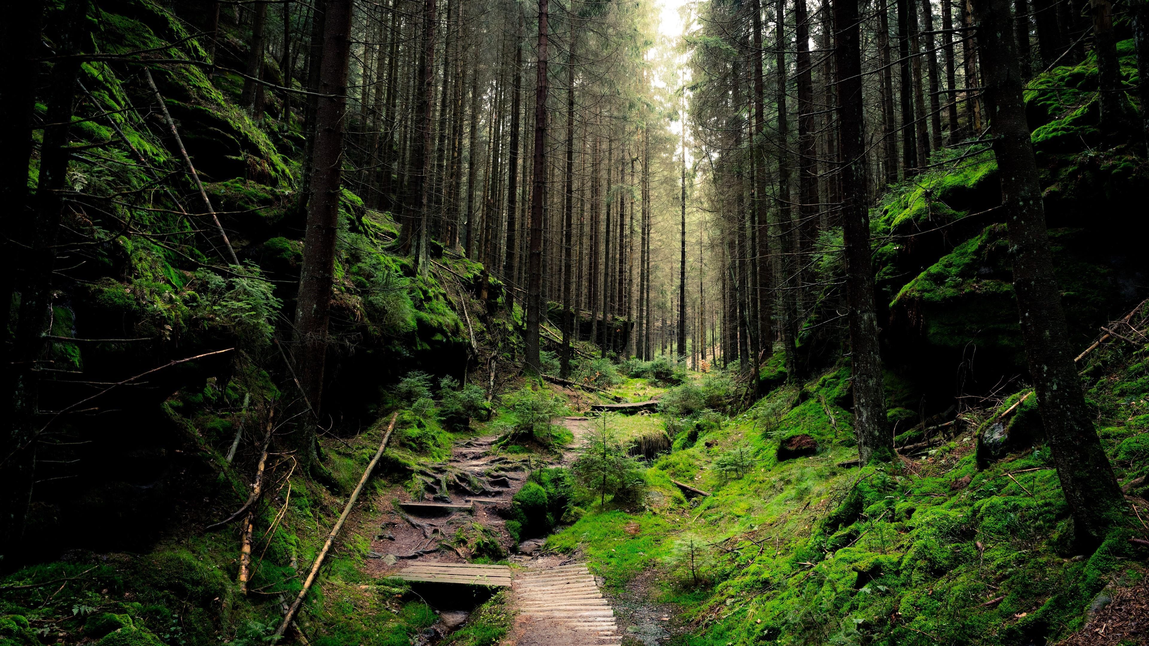 I would love to live here cool places to visit, places to travel, travel. O3nqthxxccm9wm