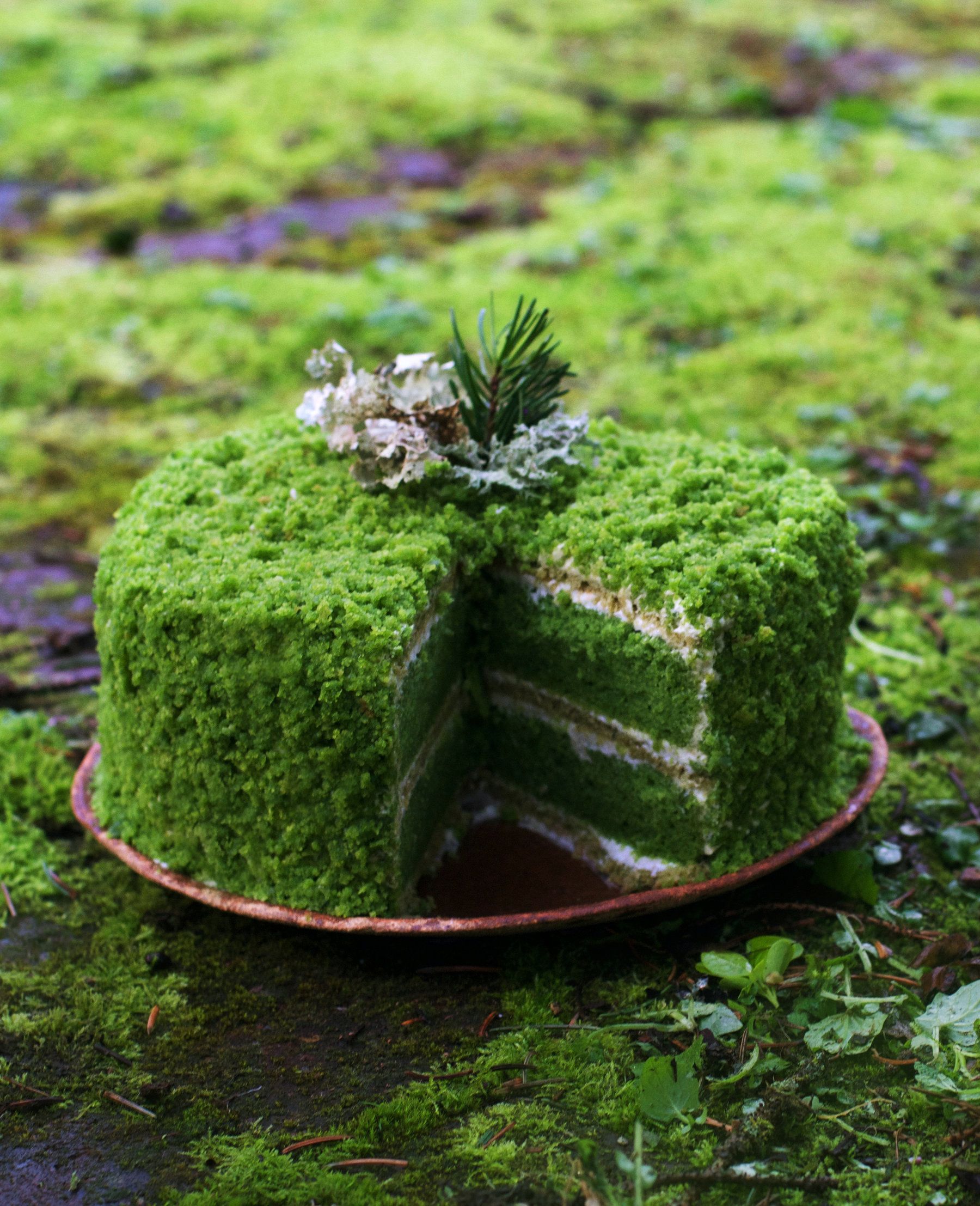 31+ Elegant Log Cabin Cakes - Log Cabin Cake - CakeCentral.com : No matter the reason, there are several ways for accomplishing this.