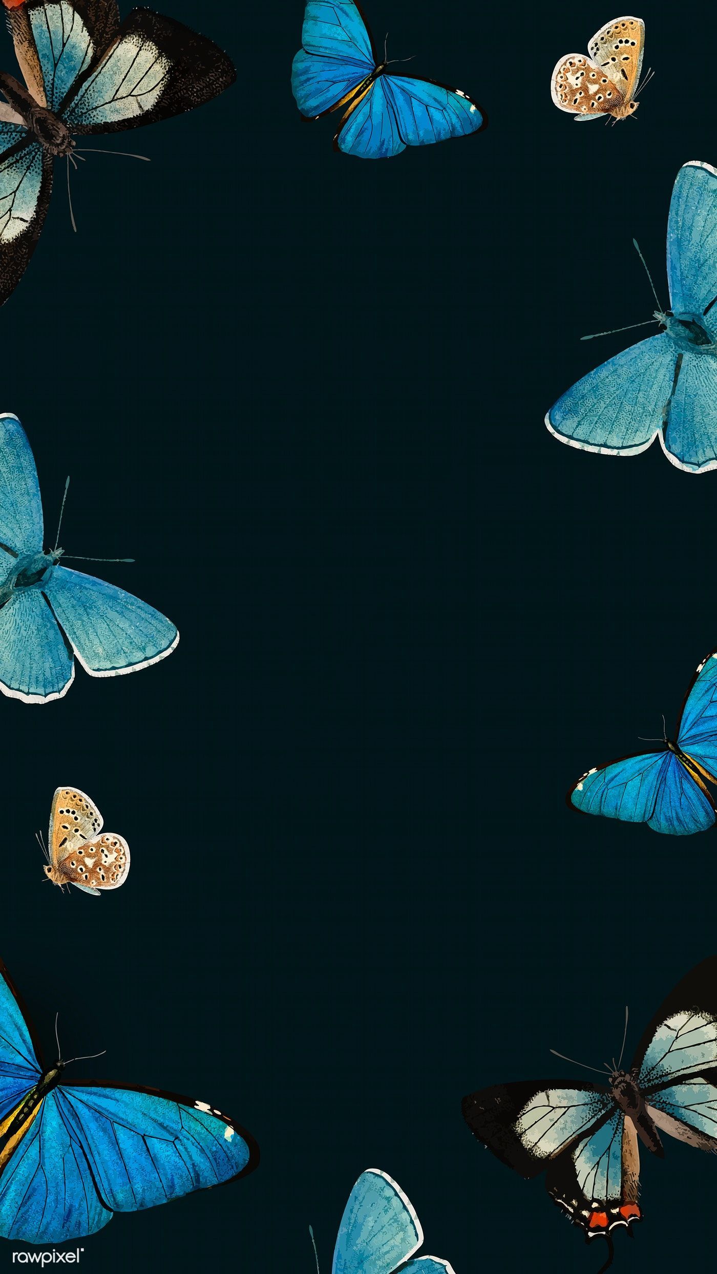 You can make this wallpaper for your iphone 5, 6, 7, . Butterfly Iphone Wallpapers Wallpaper Cave