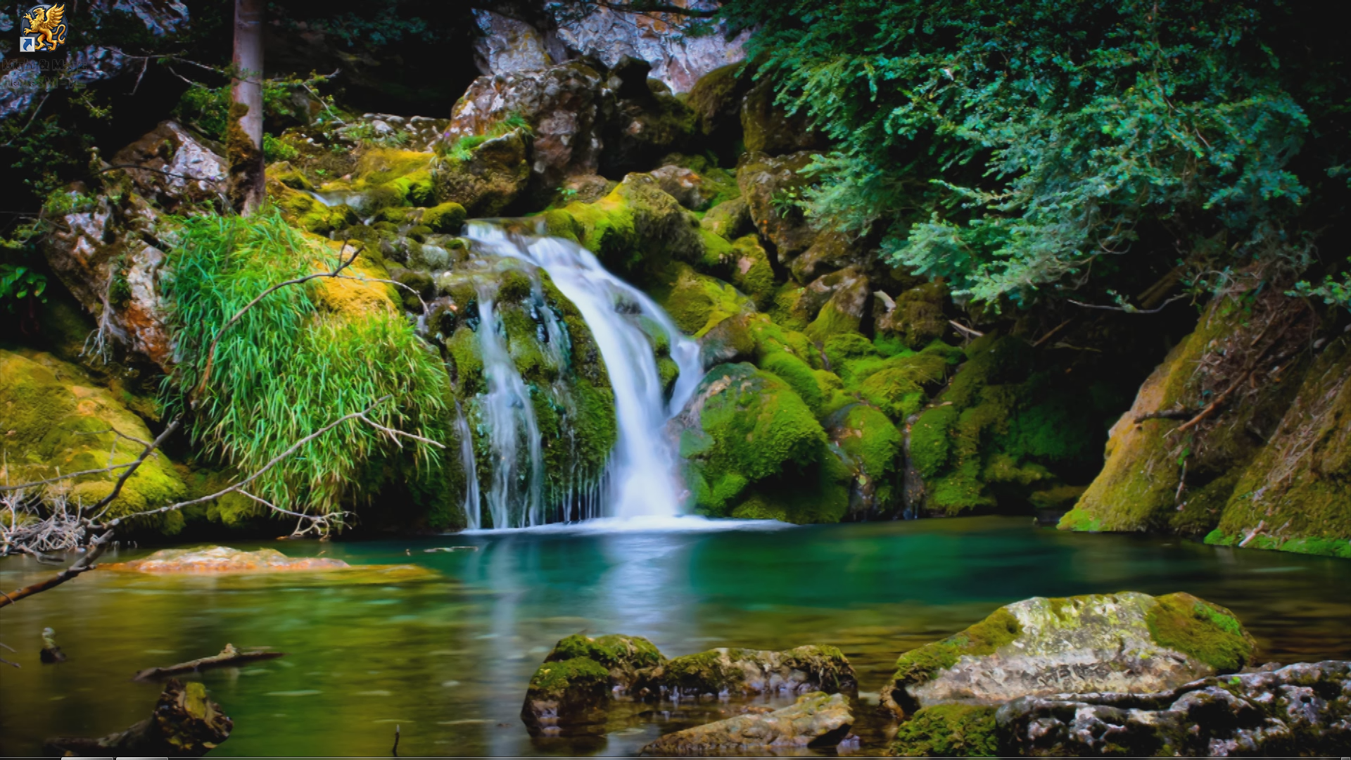 A small living space can still be stylish. Animated Nature Wallpapers Wallpaper Cave
