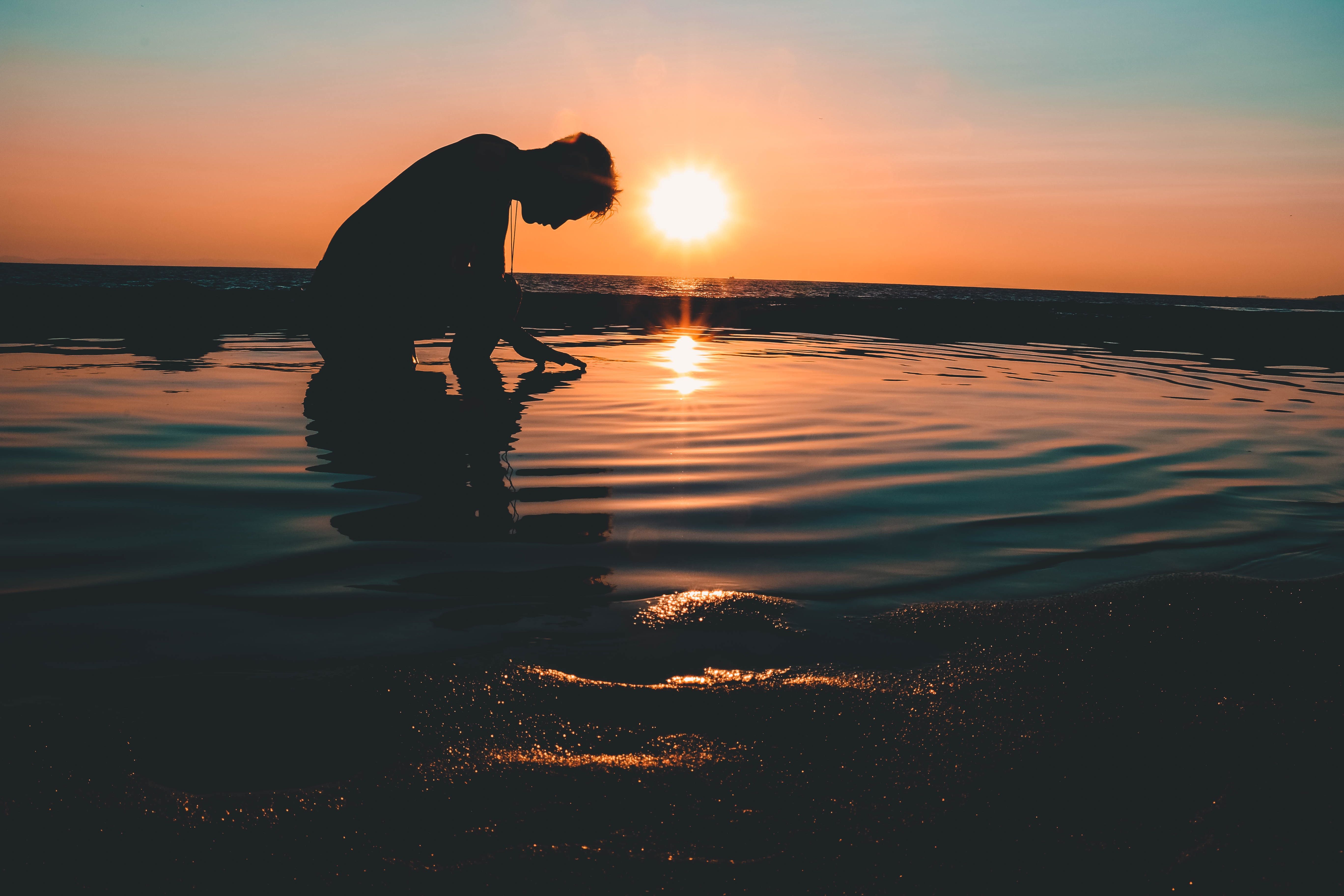 He's saved over 150 farm animals, like pigs. Inner Peace Wallpapers - Wallpaper Cave