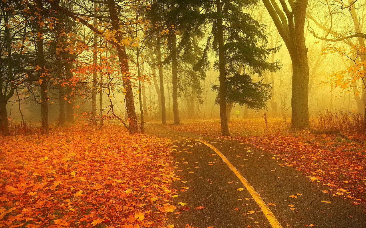 Tons of awesome windows 98 background to download for free. Autumn Windows XP Wallpapers - Wallpaper Cave