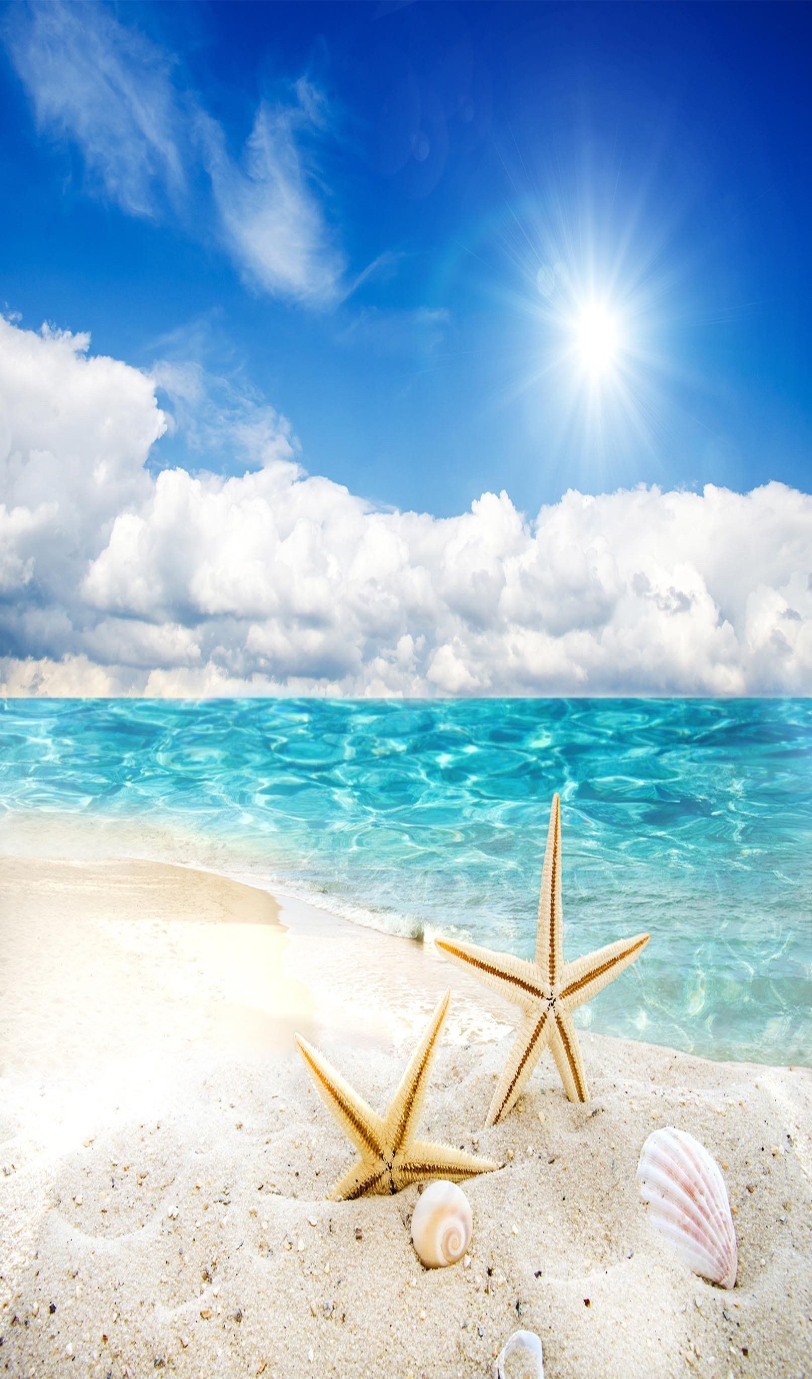 18 inches wide x 18.86 feet; Tropicana Beach Border Portrait Wallpapers - Wallpaper Cave