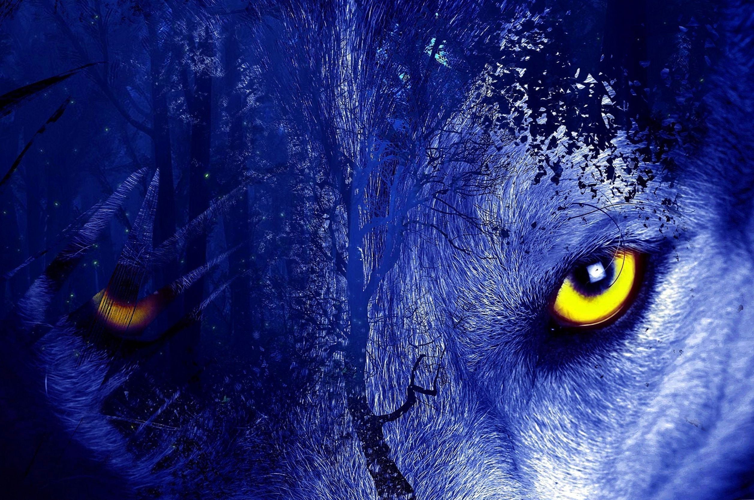 Free good vs evil chromebook wallpaper ready for · dark blue water chromebook wallpaper · chromebook . Blue Aesthetic Chromebook Wallpapers - Wallpaper Cave