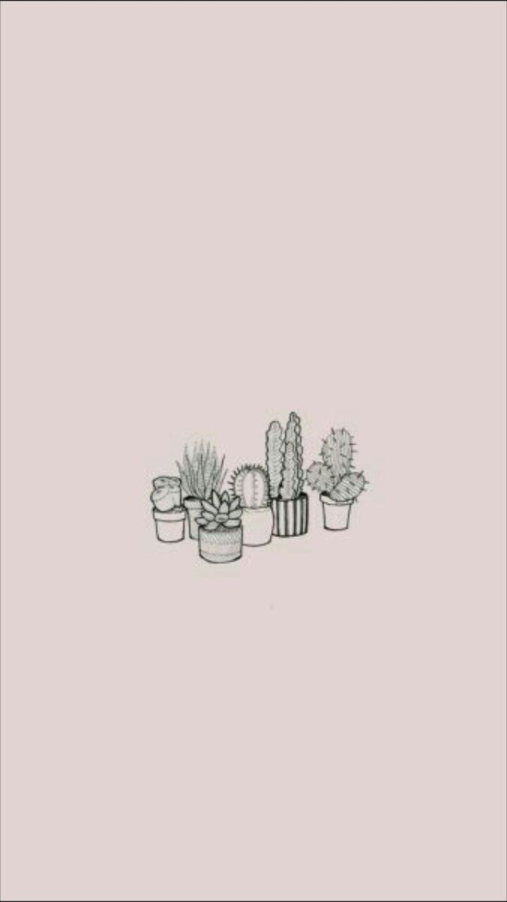 Make your device cooler and more . Cactus Aesthetic Wallpapers Wallpaper Cave