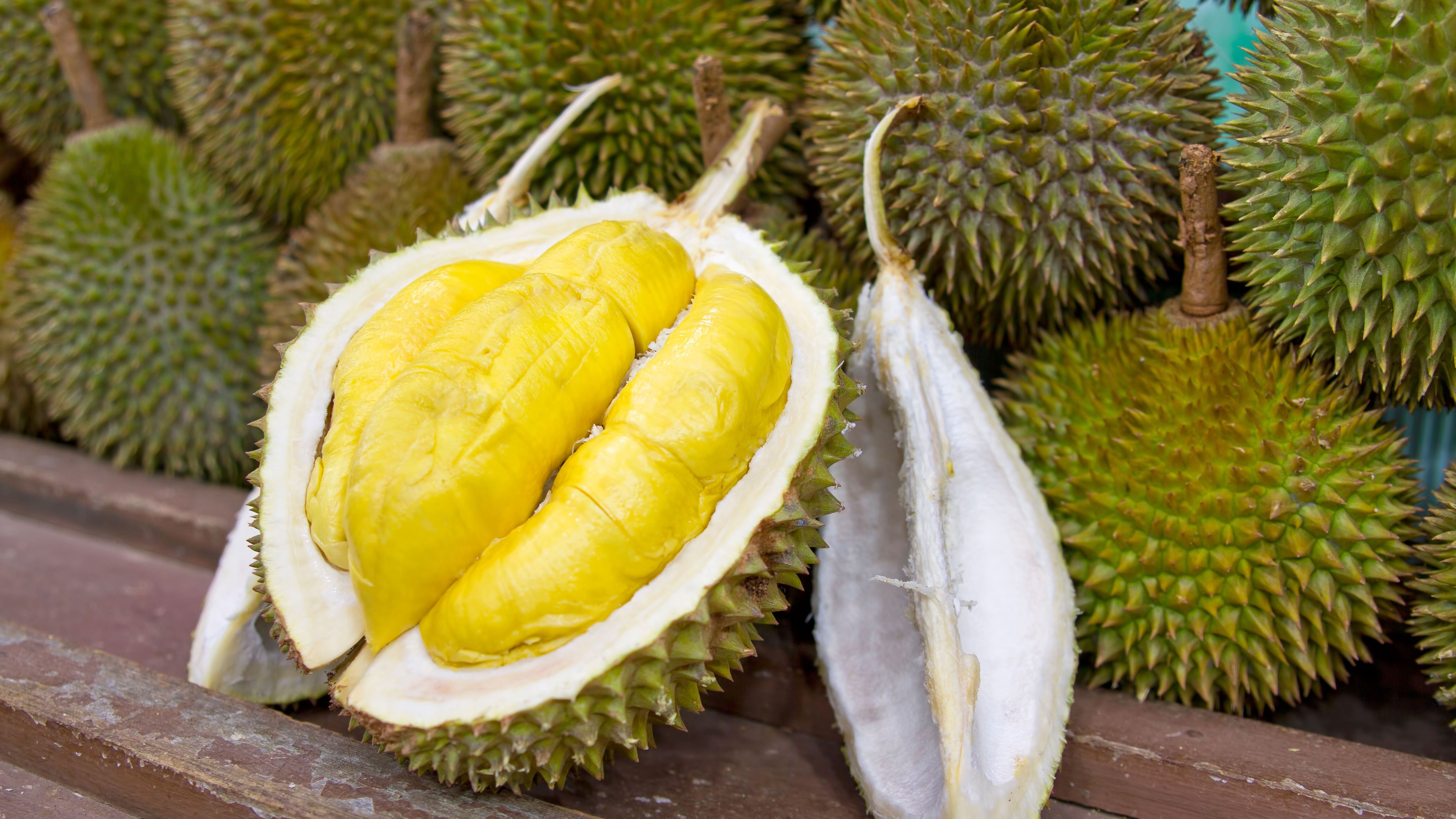 Seperti dilansir dari thaiger news, kasus yang terjadi di pasar haudongcheng di ganzhou, china timur itu, dilaporkan pekan lalu dan oaa telah … Durian Wallpapers - Wallpaper Cave