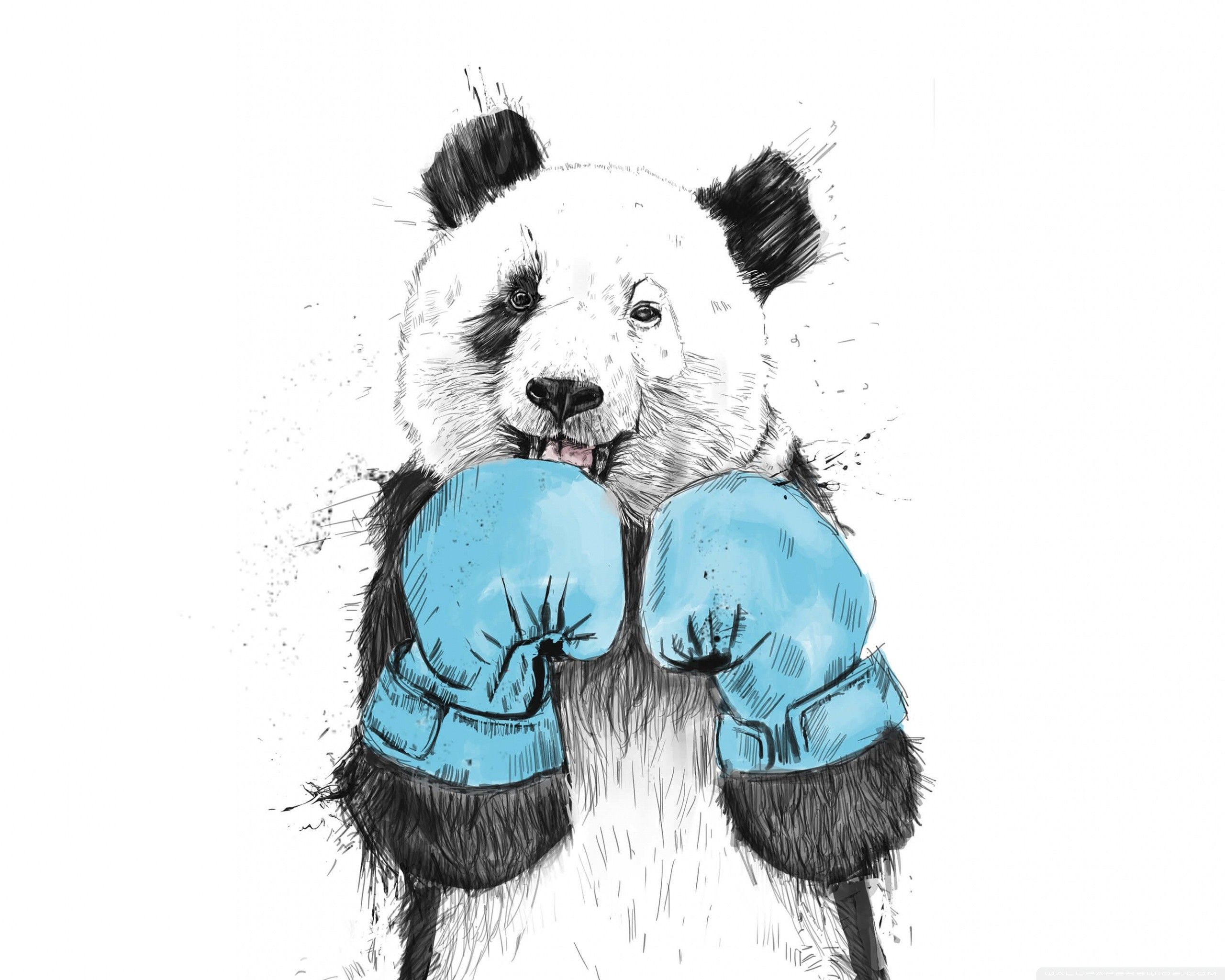 If you have a graphics project and you're trying to come in under budget, you might search for free clip art online. Animal Drawings Wallpapers Wallpaper Cave