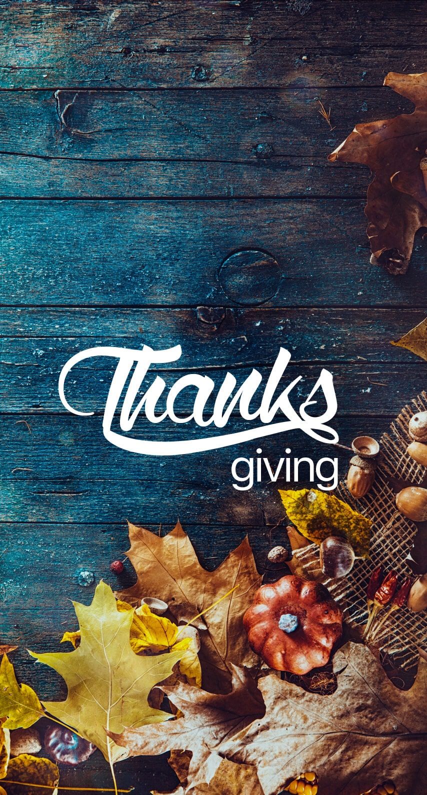 81 free thanksgiving wallpapers images in full hd, 2k and 4k sizes. Thanksgiving Wallpapers - Wallpaper Cave