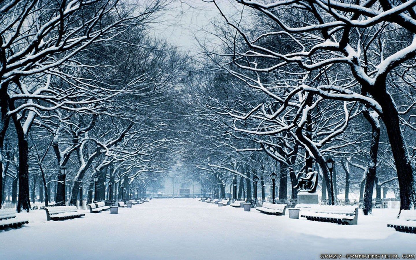 The best quality and size only with us! Widescreen Winter Wallpapers Wallpaper Cave