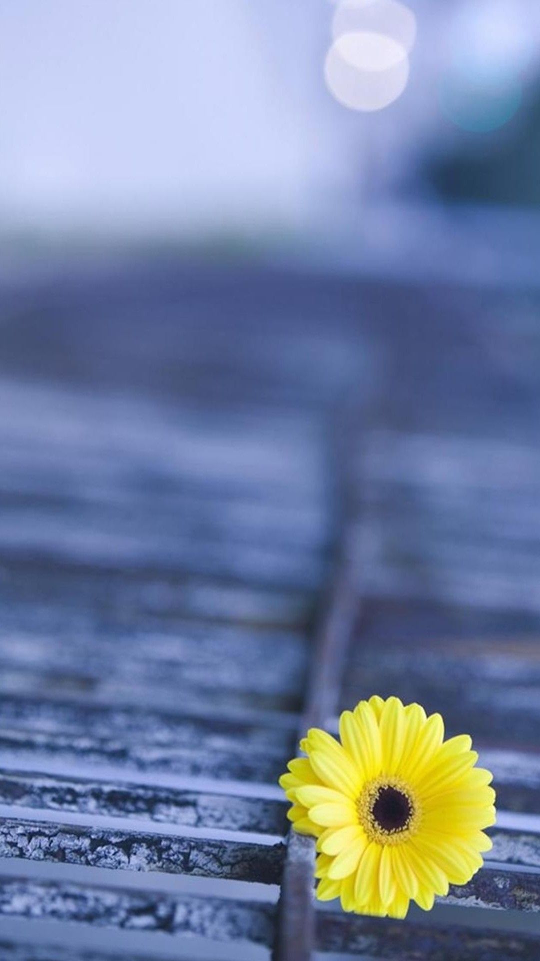 The ginger home, diy home decor blog, has ideas for achieving designer style on a budget. Galaxy Flower Wallpapers Wallpaper Cave