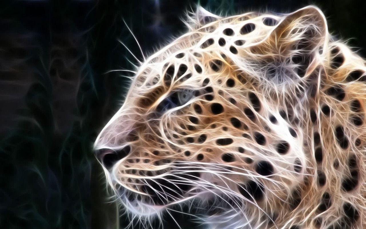 Big Cat Wallpaper / Big Cats Wallpapers Hd Big Cats Backgrounds Free Images Download /