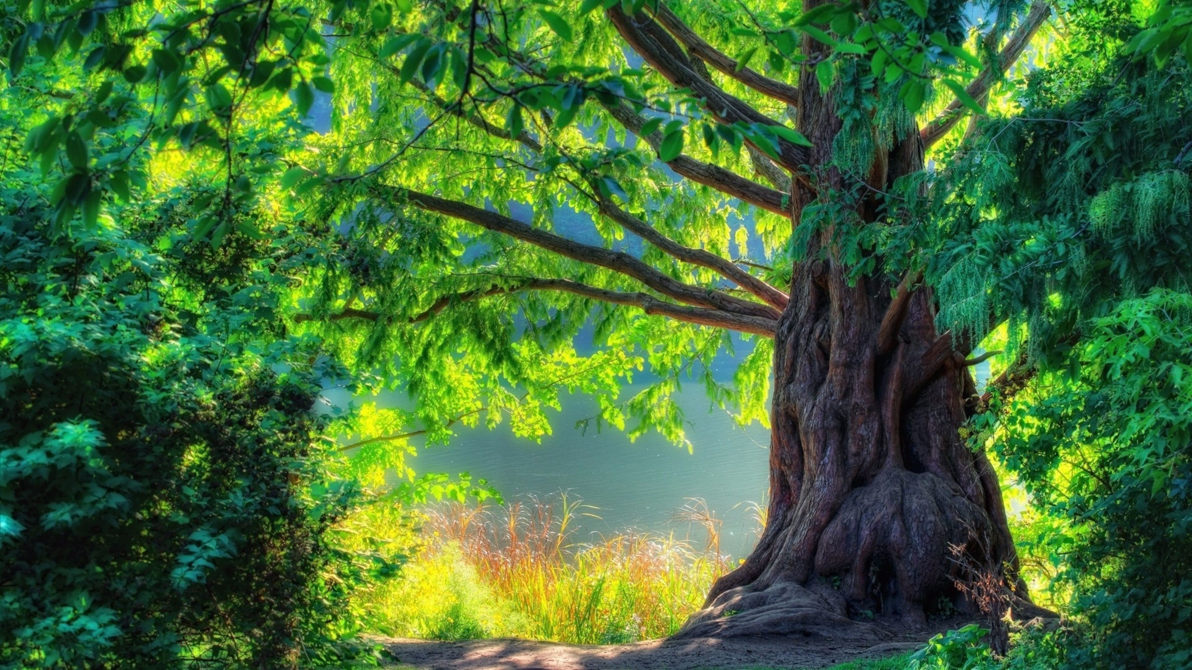 Learn more by nick pino ,. 31 Nature Green Hd Wallpapers 4k Basty Wallpaper