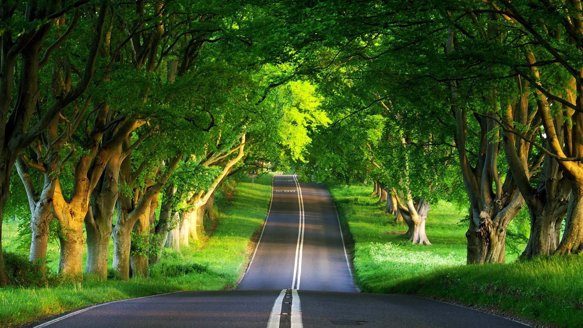 30 Hd Nature Wallpapers For Laptop 1366x768 Free Download Venera Wallpaper