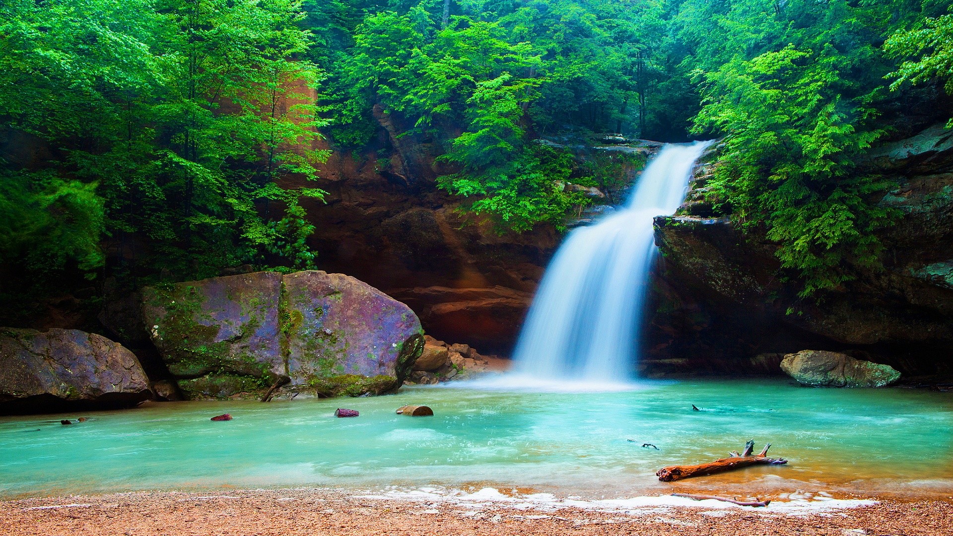 Humidity and warmth are ideal . Feng Shui Wallpaper (60+ pictures)