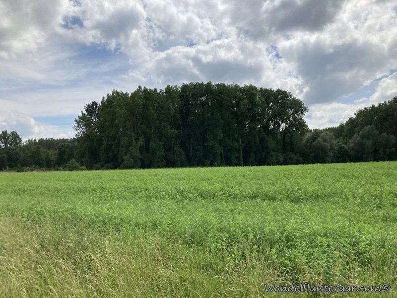 Speelbos Droombergen in Oombergen