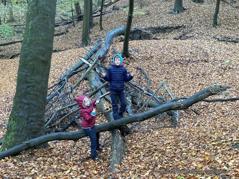 Wandelen met kinderen: 8 tips om het leuk te houden
