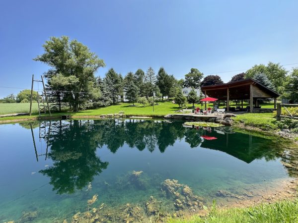 Blueberry Brook Farm Resort Pond