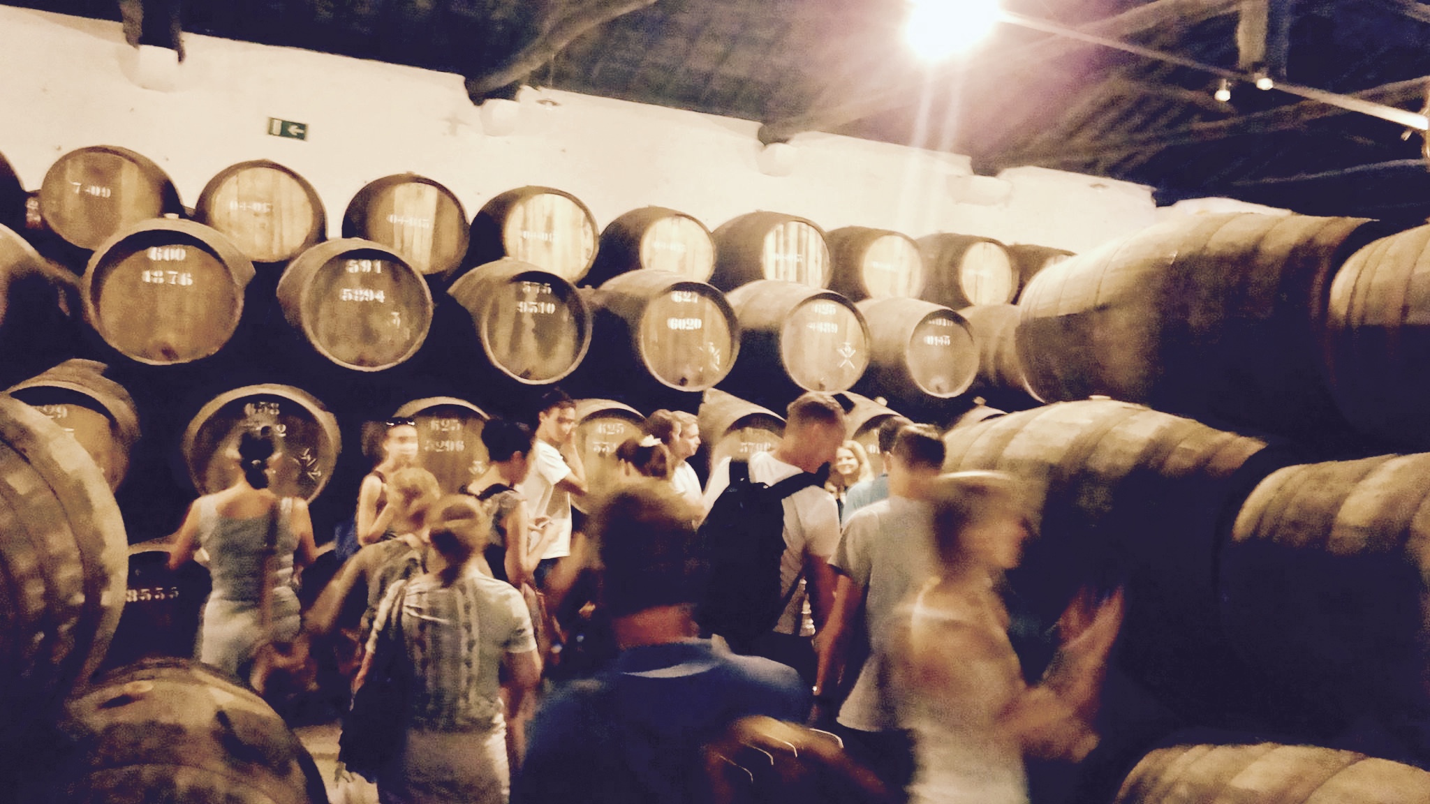 My Guide to Port Tasting in Porto, Portugal! wareontheglobe