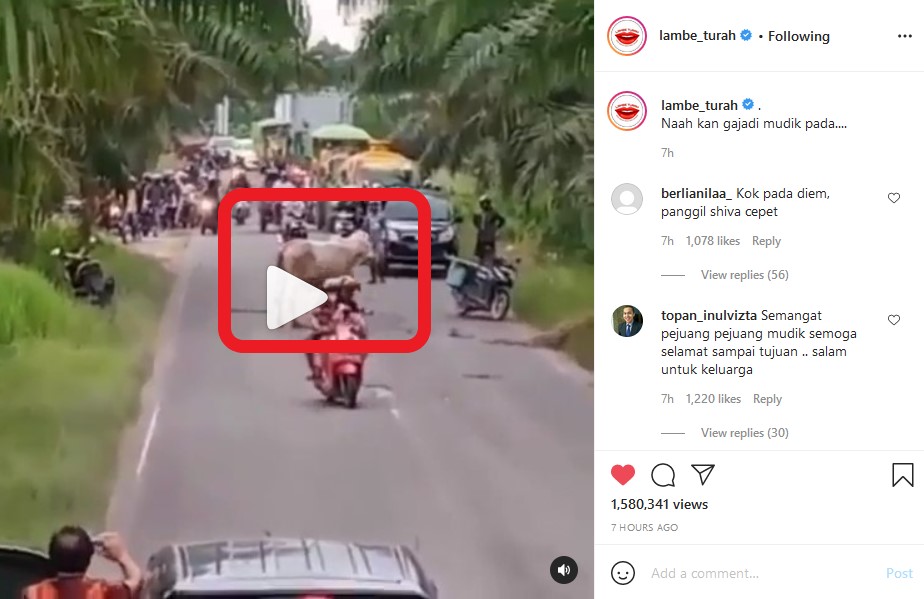 Tangkapan layar instagram lambe turah. Viral Video Sapi Halangi Pemudik di Jalan, Diduga Kejadian di Sampit, Kalimantan Tengah