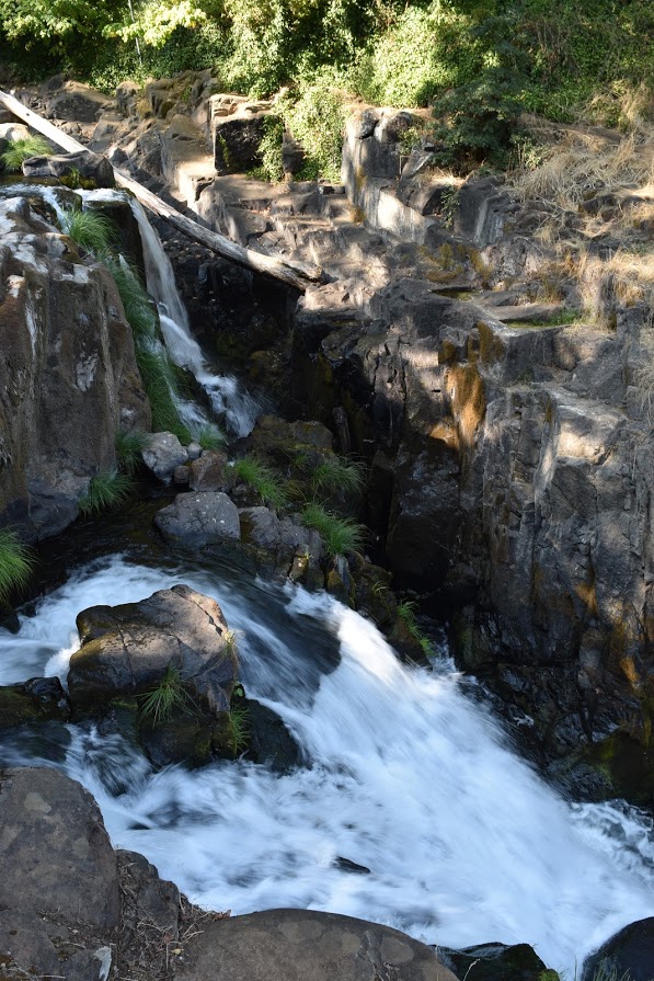 Fall river falls is located within lapine state park southwest of bend. Falls City Falls Oregon The Waterfall Record