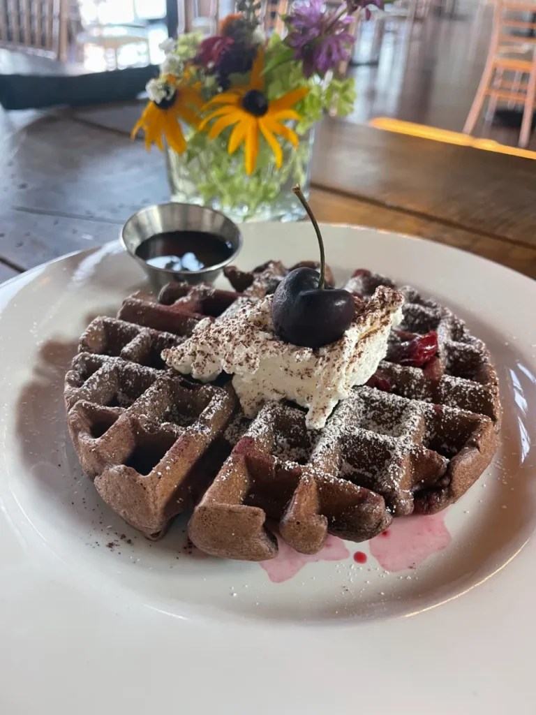 Chocolate waffle dessert topped with whipped cream and cherries served on a white plate.
