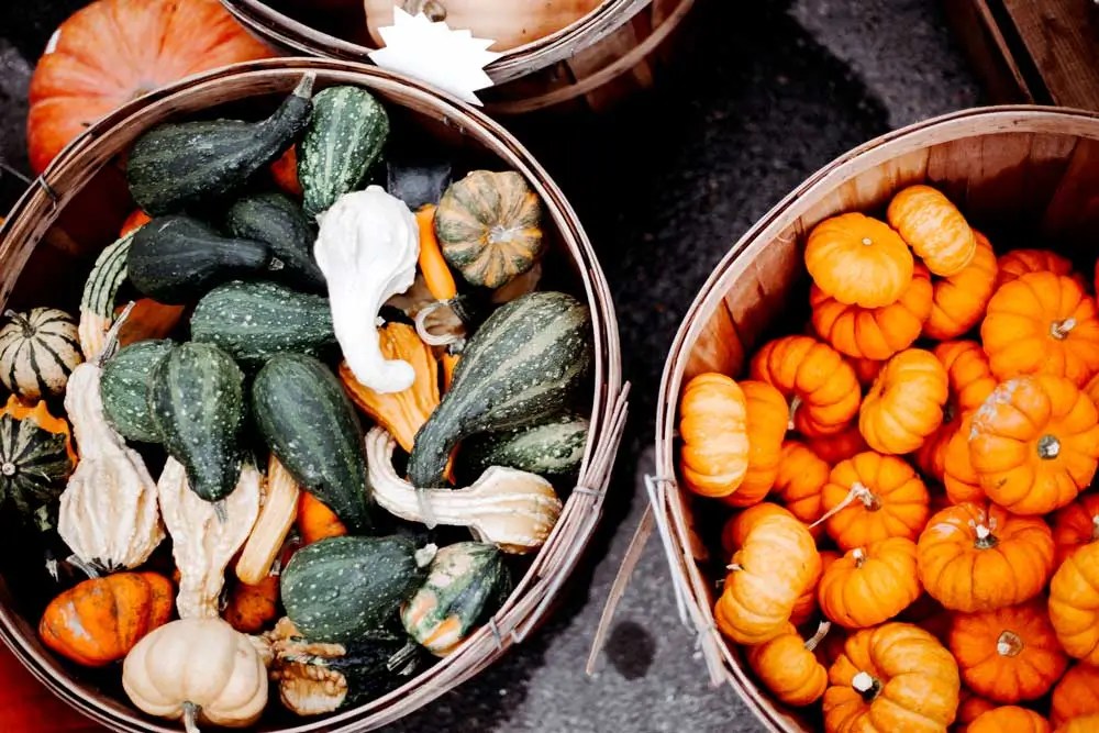 Baskets filled with colorful pumpkins and ornamental gourds at a fall harvest market.
