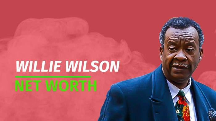 Will Smith Net Worth: A Hollywood Fortune Wilfs net worth