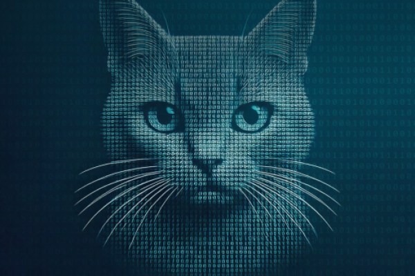 Bootkitty: Analyzing the first UEFI bootkit for Linux Bootkitty: Analyzing the first UEFI bootkit for Linux