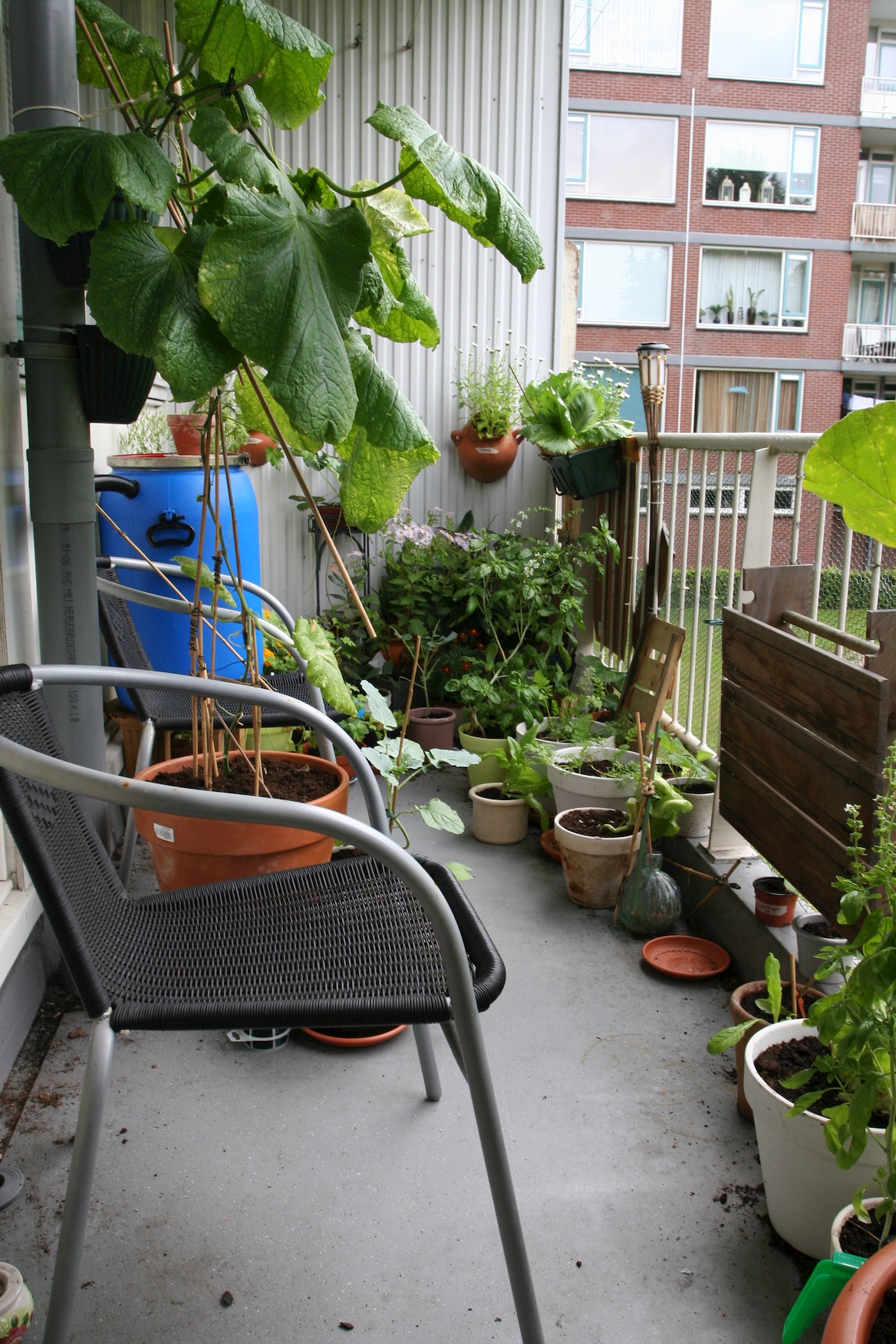 Moestuin op balkon