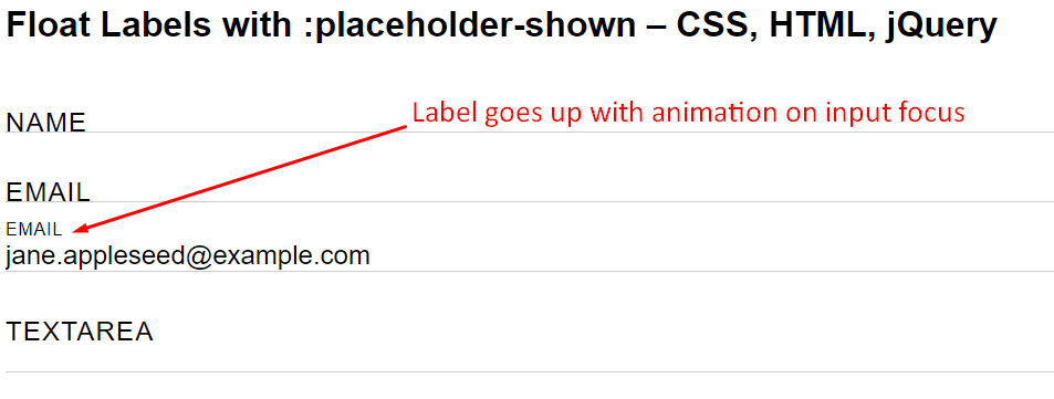 How To Move Placeholder To Top On Focus And While Typing Inside Form Input Webdevpuneet