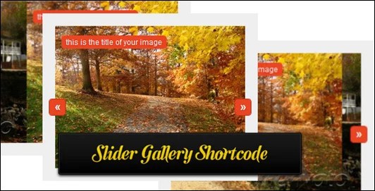 Vous pouvez faire glisser et déposer vos images . Best WordPress Photo Gallery & WordPress Gallery Plugins | Nov 2018 WG